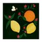 Stupell Industries Citrus & Bumble Bee Canvas Wall Art Design by Michelle Ingari Designs